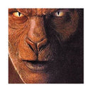 Fogerty John - Eye Of The Zombie Cd 4050538349030