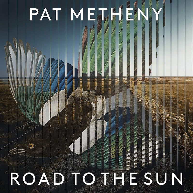 Metheny Pat - Road To The Sun Cd 4050538639322