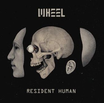 Wheel - Resident Human