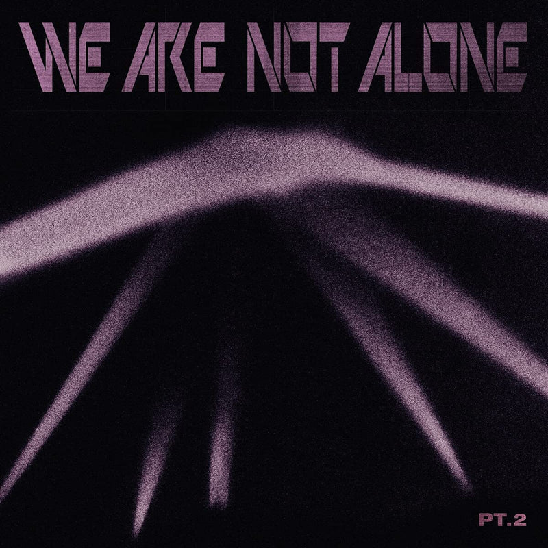 Compilation - We Are Not Alone Vol.2 Lp 4260600221762