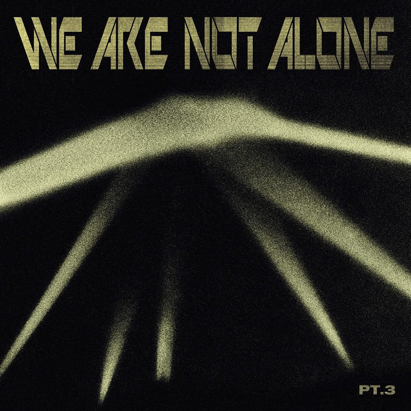 Compilation - We Are Not Alone Vol.3 Lp 4260600221779