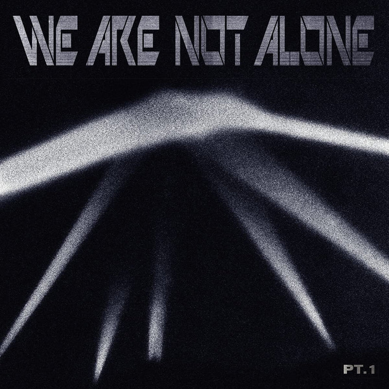 Compilation - We Are Not Alone Vol.1 Lp 4260600221786