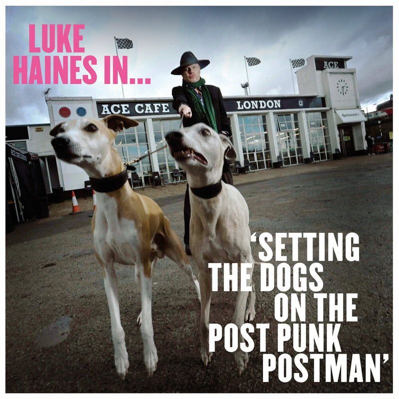 Haines Luke - Luke Haines In...Setting The Dogs On The Post Punk Postman