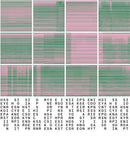 Hecker - Synopsis Seriation