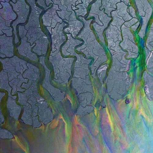 Alt-J (A) - An Awesome Wave