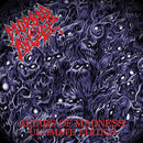 Morbid Angel - Altars Of Madness Ultimate Edition Cd 5055006593013