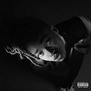 Little Simz - Grey Area Lp 5056167110958