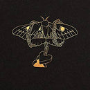 Gray David - Gold In A Brass Age