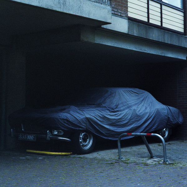 Black Bones - Night Drives