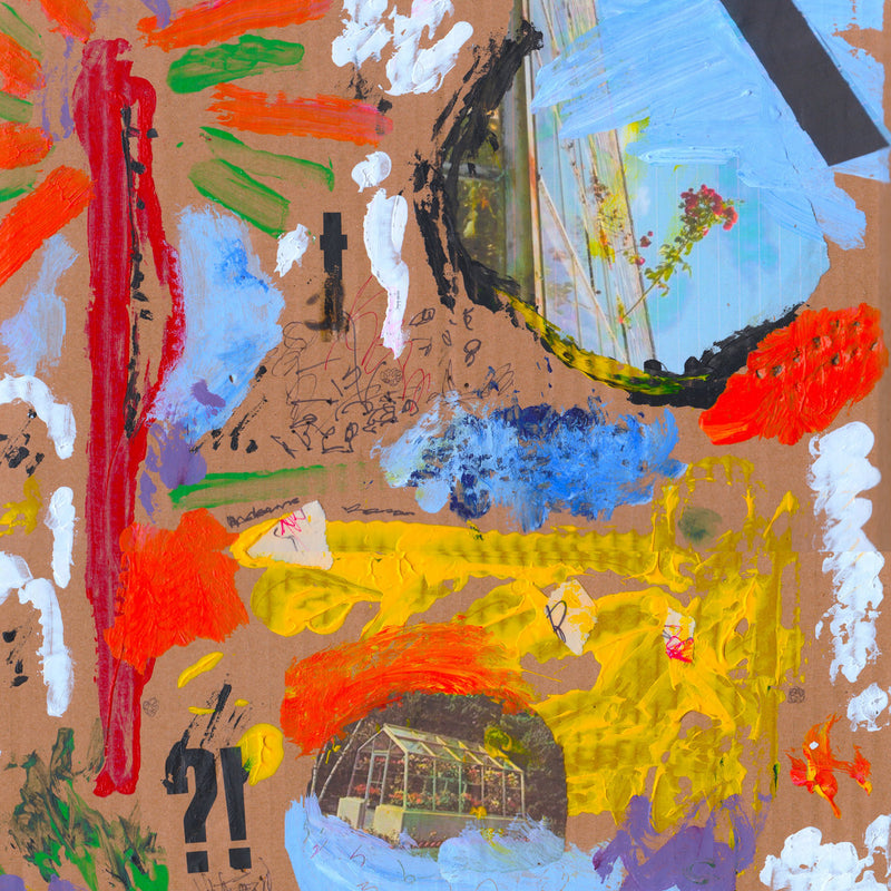 Cool Greenhouse - Cool Greenhouse,The Lp 5060168042804