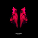 Lombardo Francesca - Life Of Leaf