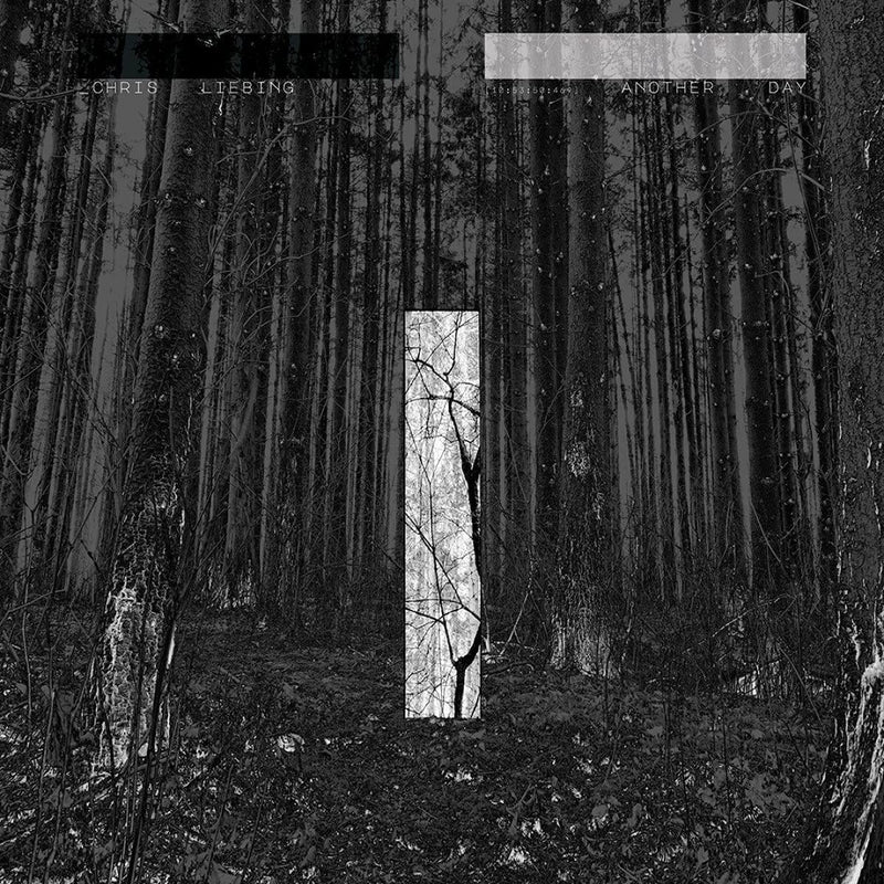 Liebing Chris - Another Day Cd 5400863055165