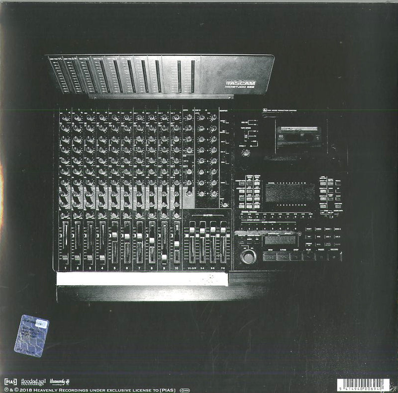 Lanegan Mark & Garwood Duke - With Animals Vinile LP - Vinyl record 5414940006940