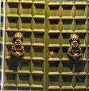 Cancelli Della Memoria I - Tributo Anni '70 A Franco Battiato (Cd+Dvd) Cd 8016158323535