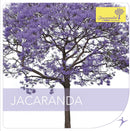 Jacaranda - Jacaranda Cd 8016670143703