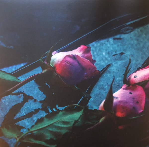 Skeleton Hands - Wake