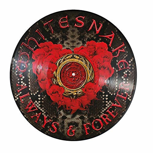 Whitesnake - Always & Forever (Picture Disc) Lp 8024391102053