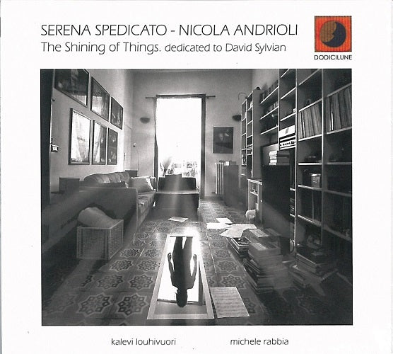 Spedicato Serena & Andrioli Nicola - The Shining Of Things - Dedicated To David Sylvian