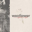 Waxflower - We Might Be Alright