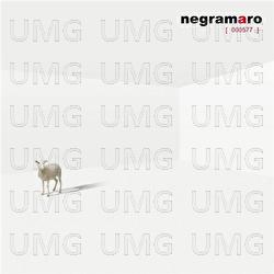 Negramaro - 577 Cd 8056746983987