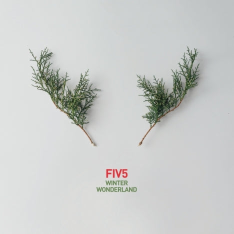 Fiv5 - Winter Wonderland